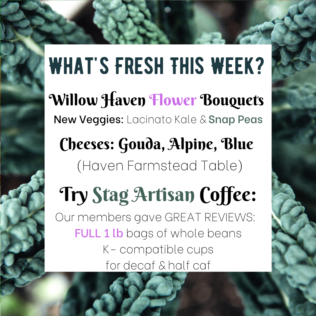 New- Stag Artisan Coffee + Yogurt Smoothies and Mini Bouquets!