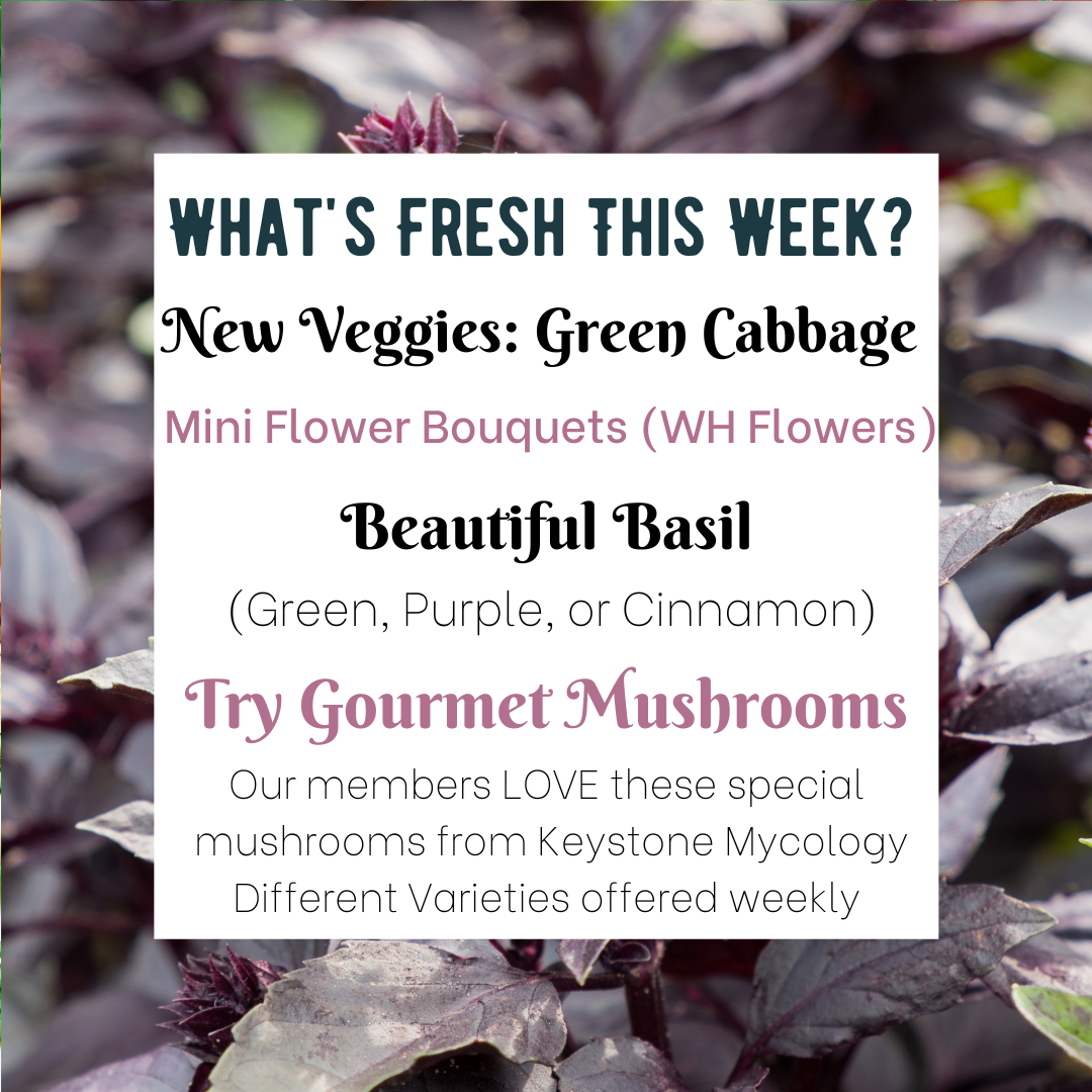 Next Happening: Try something NEW: We have THREE kinds of Basil this week