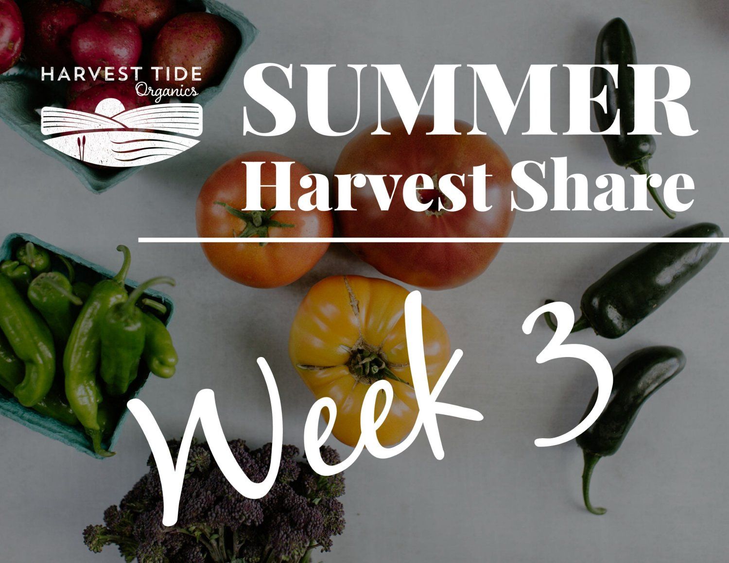 Week 3 of your CSA and 4 Days until the official first day of Summer!