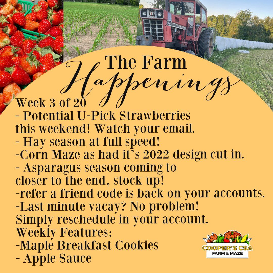 "The Farm Box"-Coopers CSA Farm Farm Happenings June 21st-26th Week 3