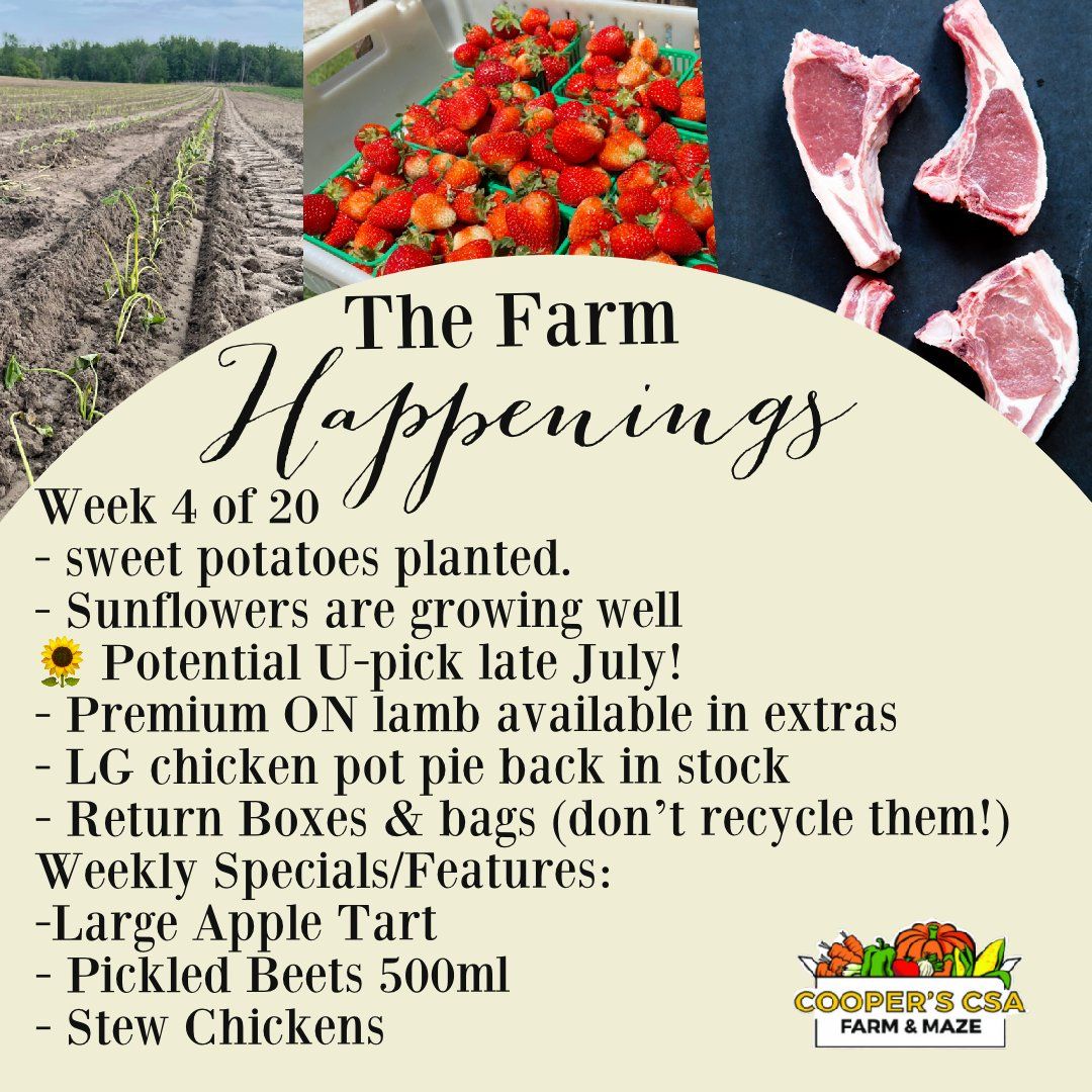 "The Farm Box"-Coopers CSA Farm Farm Happenings June 28th-July 3rd Week 4