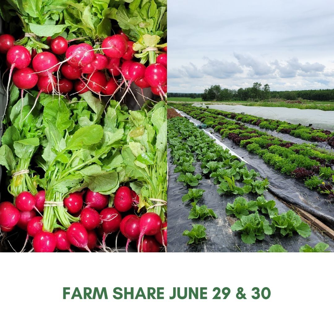 Next Happening: Farm Happenings for June 29, 2022