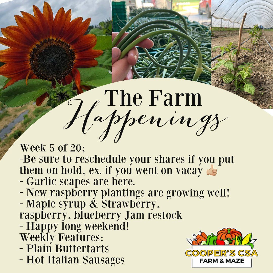 "The Farm Box"-Coopers CSA Farm Farm Happenings July 5th-10th week 5