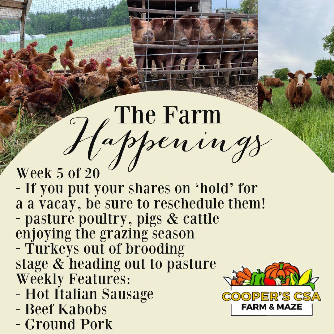 Next Happening: "Pasture Meat Shares"-Coopers CSA Farm Farm Happenings July 5th-10th week 5