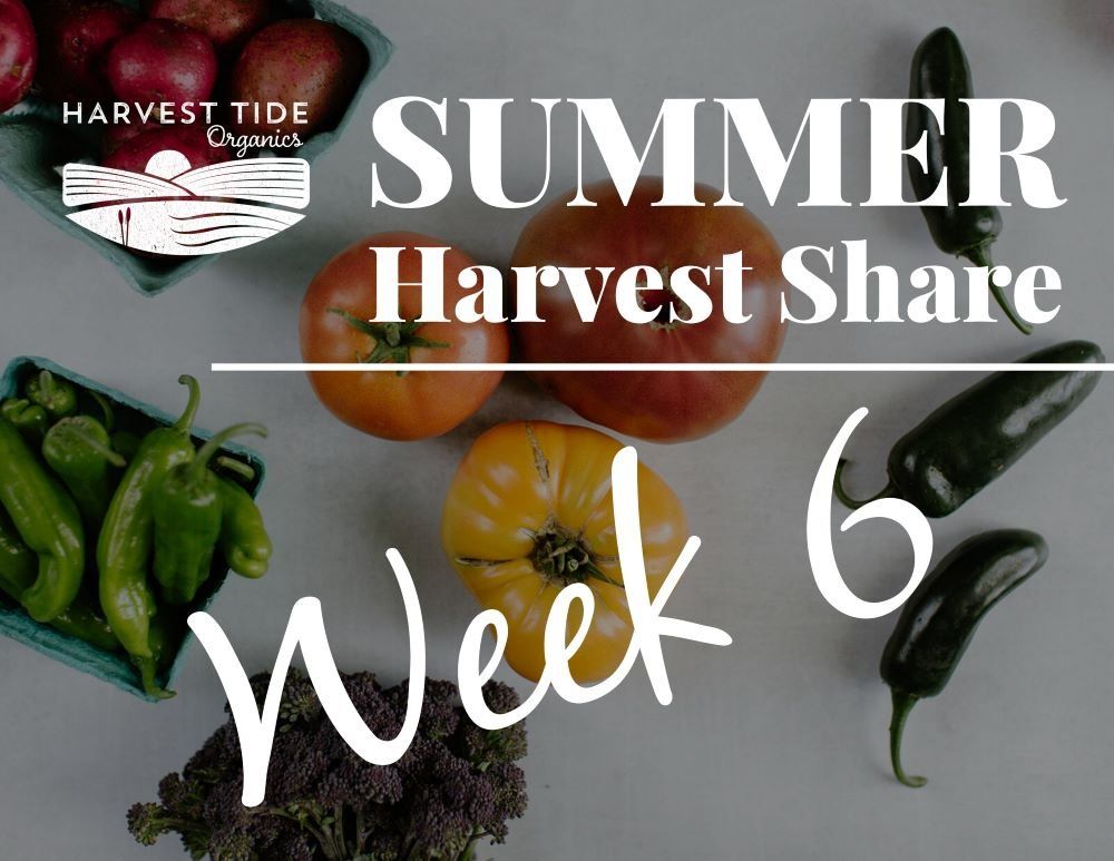 Next Happening: Summer Harvest Share - Week 6