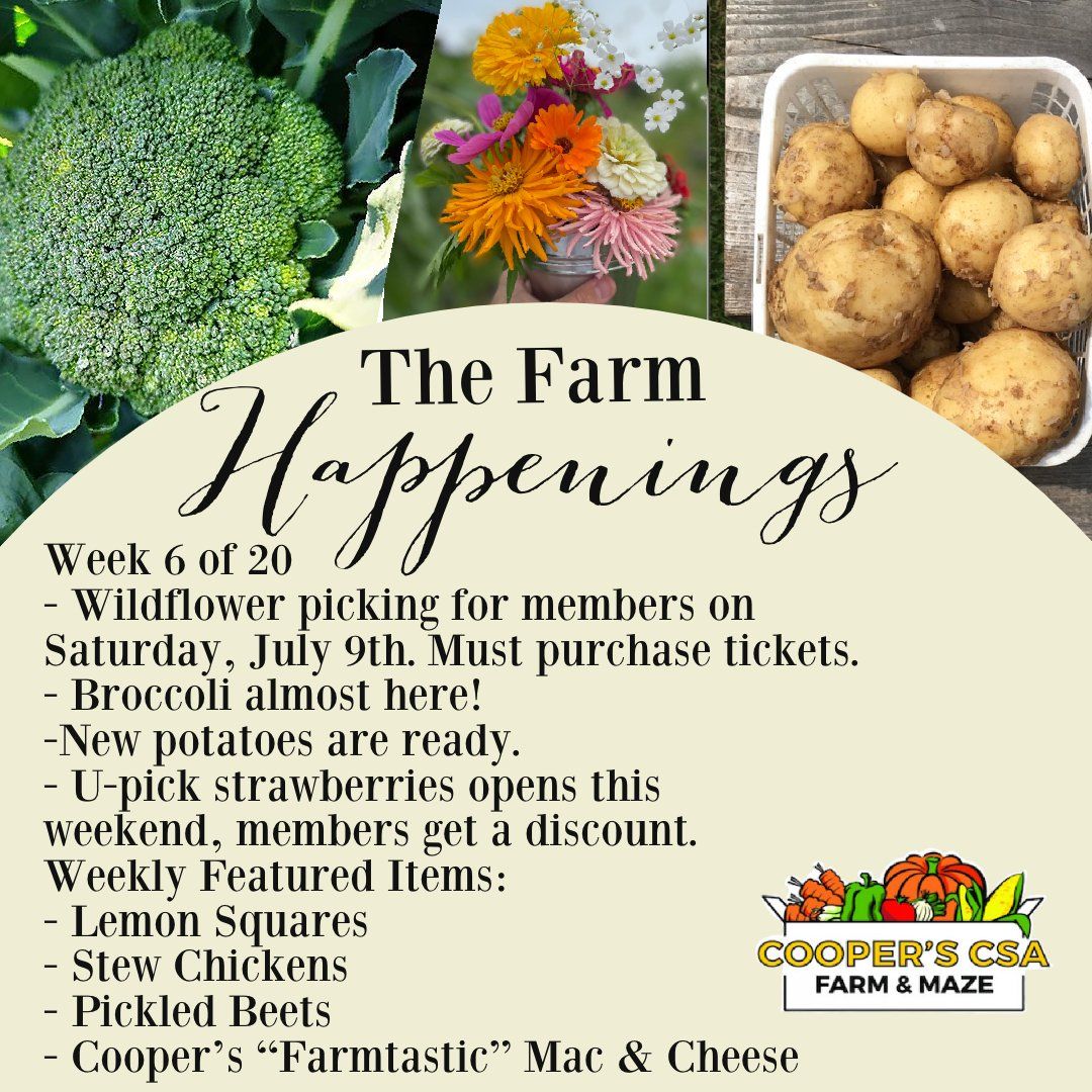 Next Happening: "The Farm Box"-Coopers CSA Farm Farm Happenings July 12th-17th Week 6