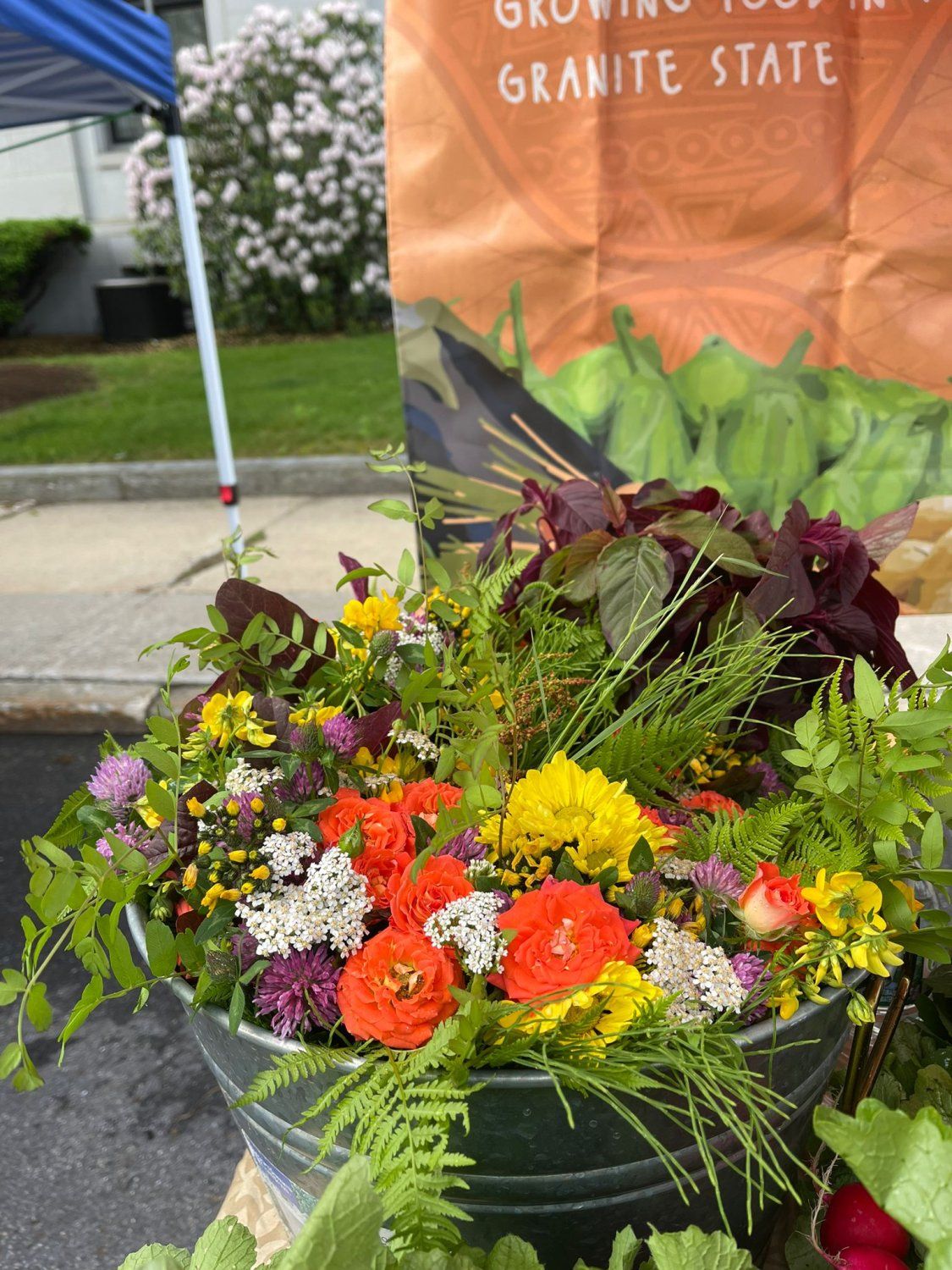 Summer Week 6: Have you signed up for Hari's Flower Share?