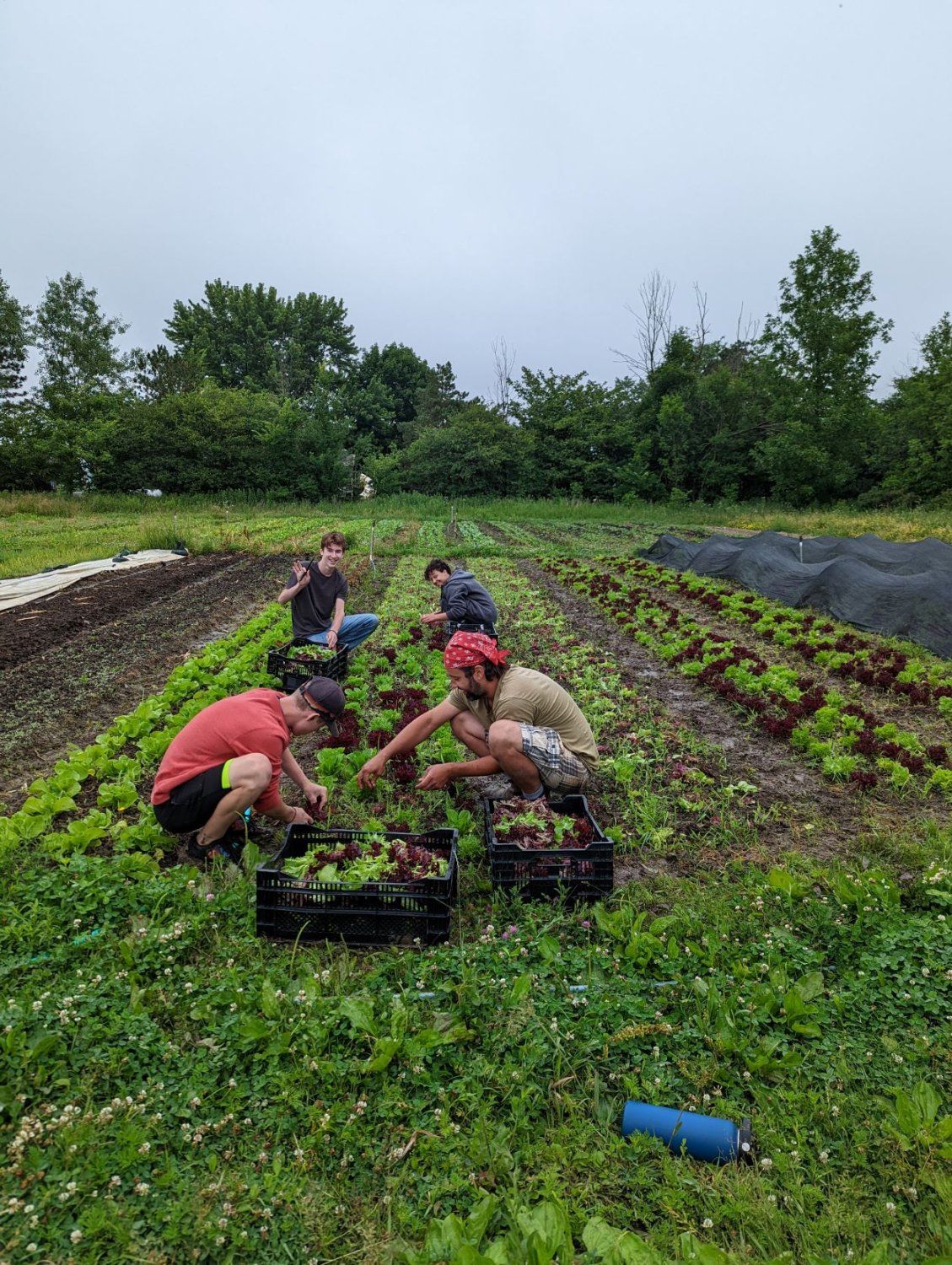 2022 Farm Share Week 6 - The Crew Expands