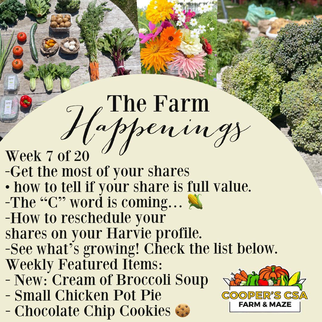 "The Farm Box"-Coopers CSA Farm Farm Happenings July 19th-24th Week 7