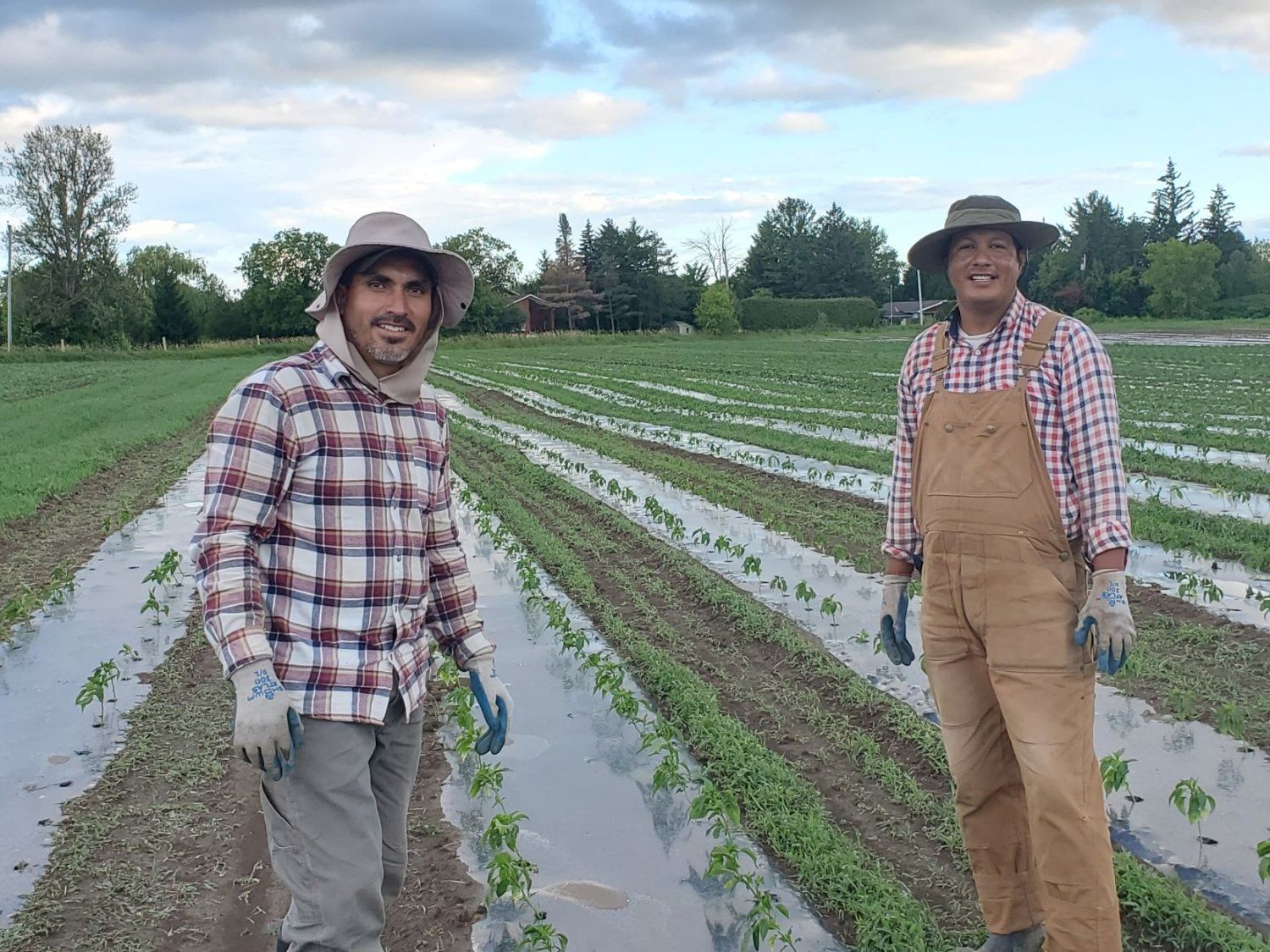 Farm Happenings for July 19, 2022 - Introducing Jaime and Marcelino