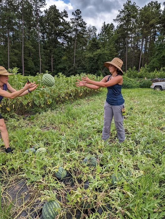 Next Happening: Farm Happenings for July 23, 2022