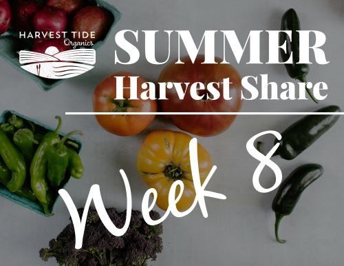 Next Happening: Halfway through the Summer CSA!  Week 8 and Summer is busting wide open!