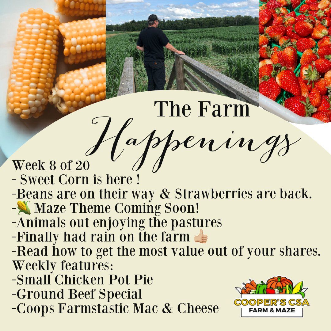 "The Farm Box"-Coopers CSA Farm Farm Happenings July 26th-31st Week 8