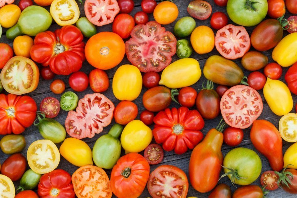 Next Happening: Summer Week 9: Tomato time