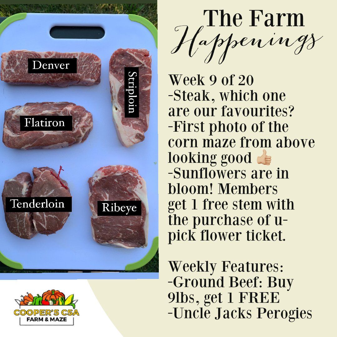 Next Happening: "Pasture Meat Shares"-Coopers CSA Farm Farm Happenings Aug. 2nd-7th: Week 9