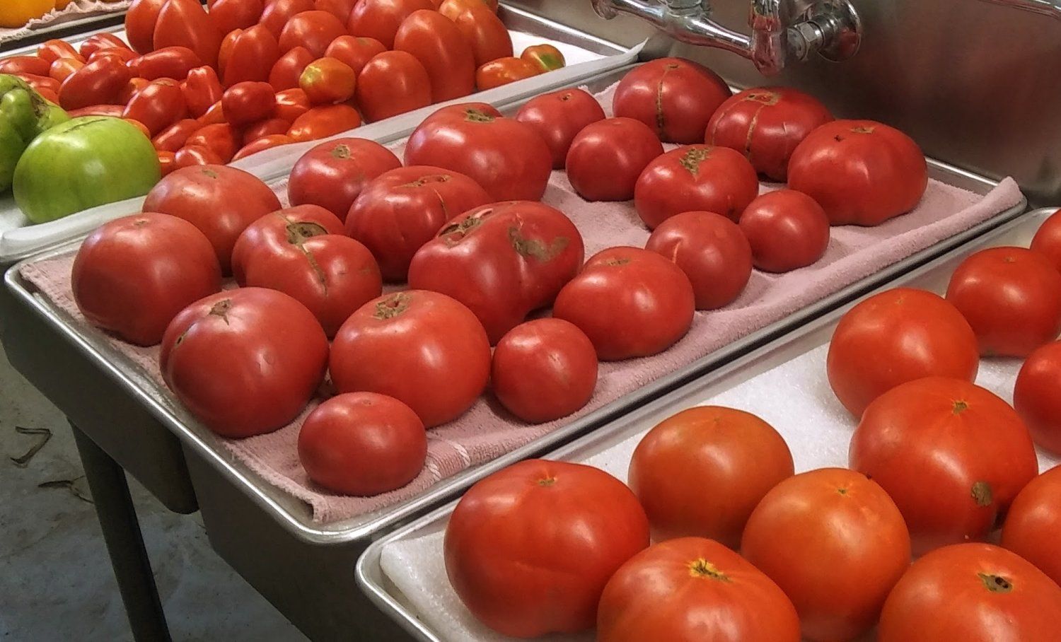 Previous Happening: Tomato Season!