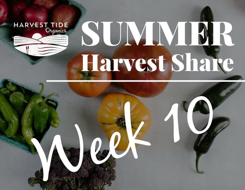 Next Happening: Summer Harvest Share - Week 10