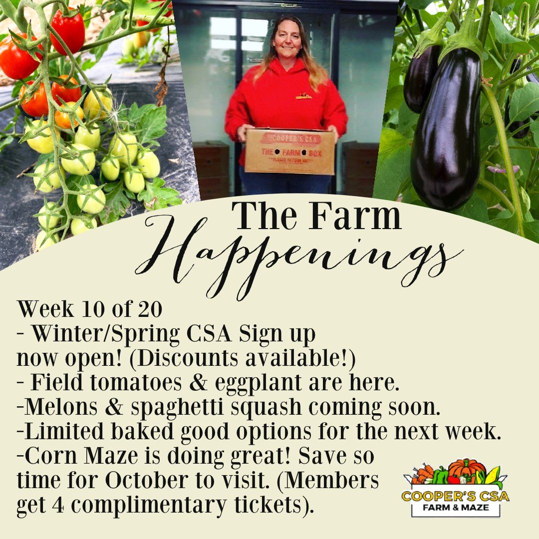 "The Farm Box"-Coopers CSA Farm Farm Happenings August 9th-14th Week 10