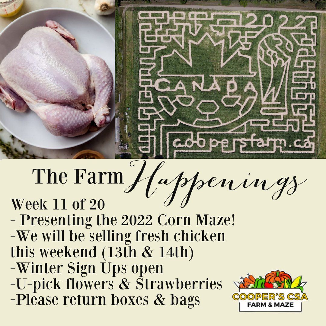 "The Farm Box"-Coopers CSA Farm Farm Happenings Aug. 16th-21st Week 11