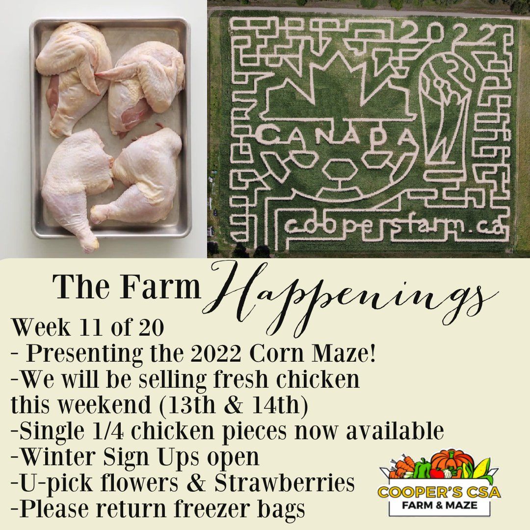 Next Happening: "Pasture Raised Meat Share"-Coopers CSA Farm Farm Happenings Aug. 16th-21st