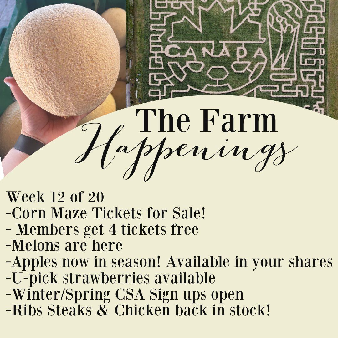 Previous Happening: "The Farm Box"-Coopers CSA Farm Farm Happenings August 23rd-28th