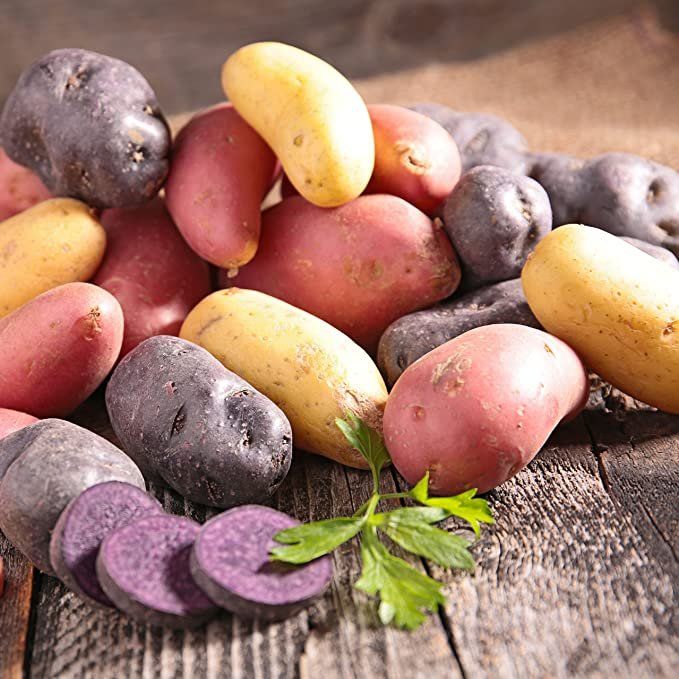 Next Happening: Fresh Potatoes!