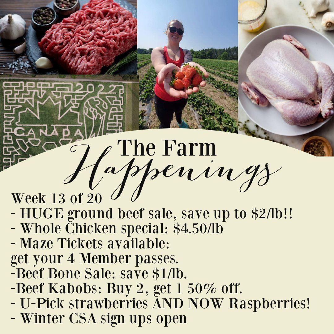Previous Happening: "Pasture Meat Shares"-Coopers CSA Farm Farm Happenings Aug. 30th-Sept. 4th: Week 13