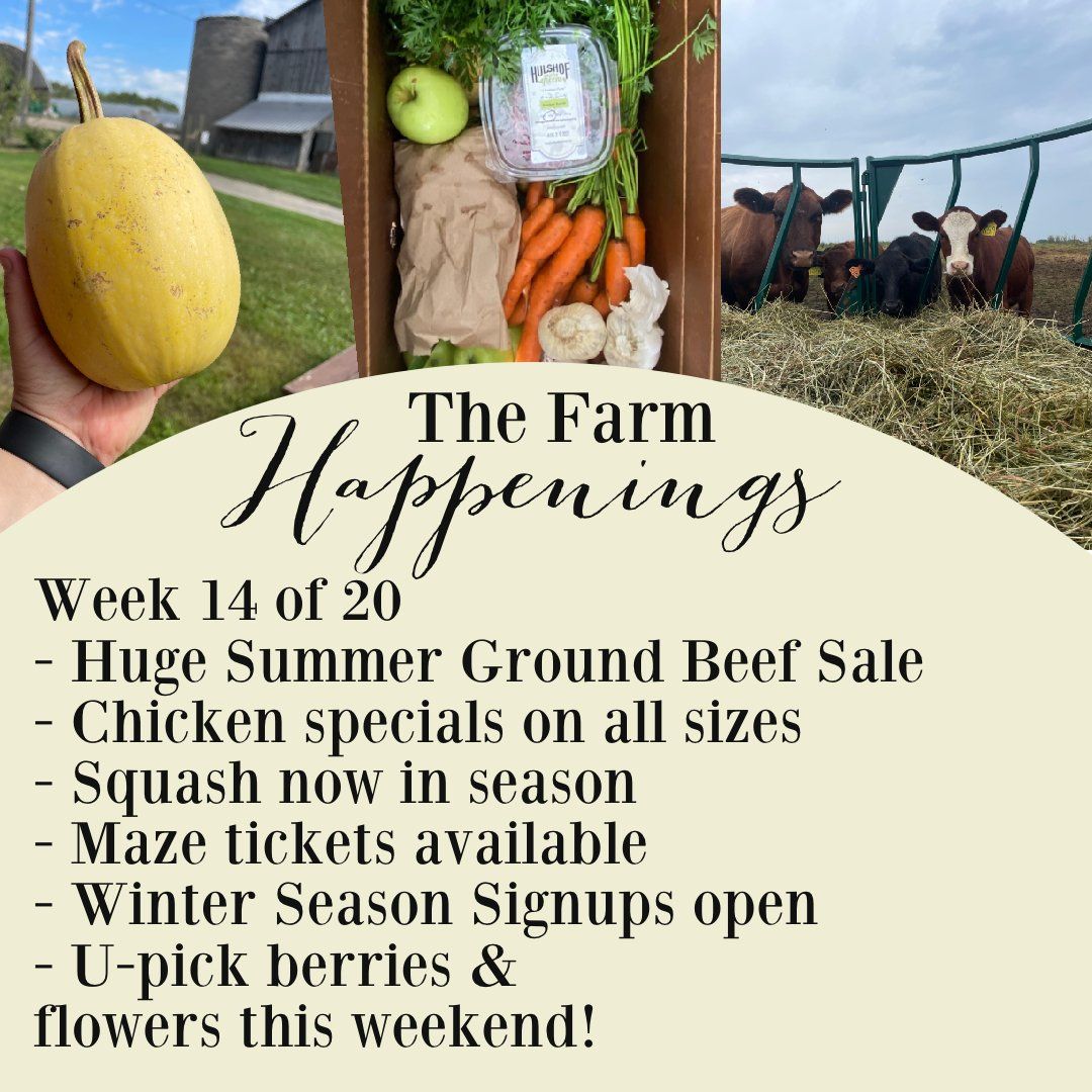 Next Happening: "The Farm Box"-Coopers CSA Farm Farm Happenings September 6-11th Week 14