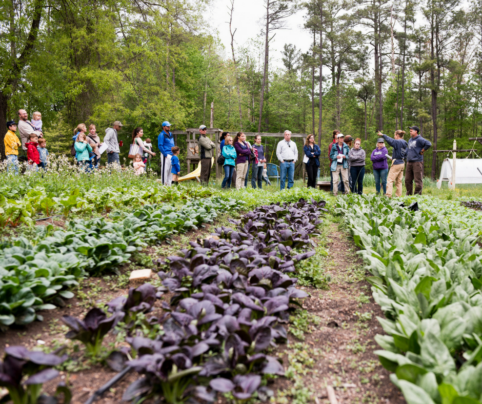 YOU'RE INVITED! Farm Share Social: Sept 24, 3-5pm