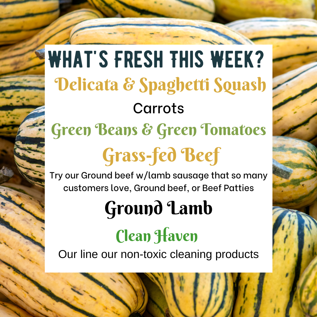 Delicata Squash and Grass-fed Beef coming your way!