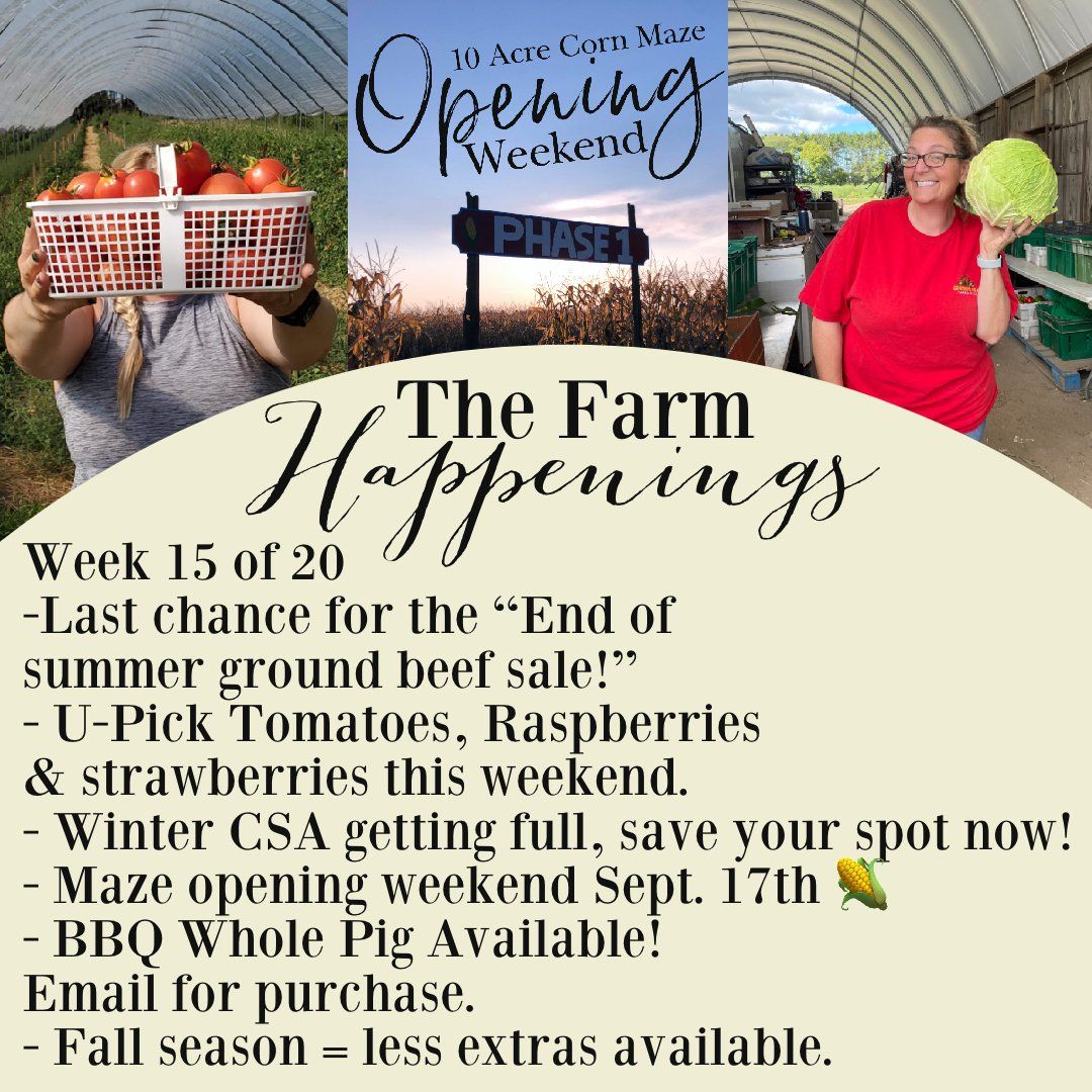 Next Happening: "The Farm Box"-Coopers CSA Farm Farm Happenings Sept. 13-18th Week 15