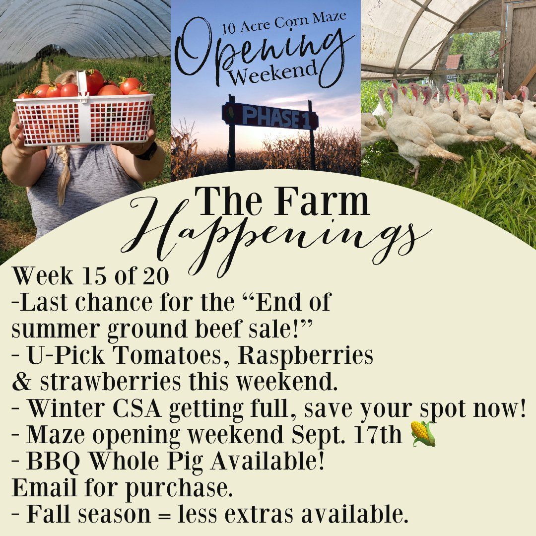 Next Happening: "Pasture Meat Shares"-Coopers CSA Farm Farm Happenings Sept. 13-18th Week 15