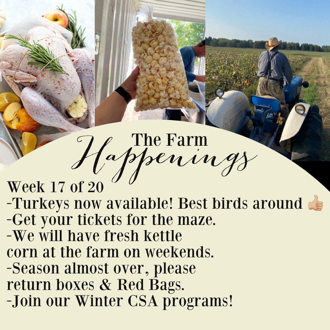 Next Happening: "The Farm Box"-Coopers CSA Farm Farm Happenings Sept. 27th-Oct. 2nd. Week 17