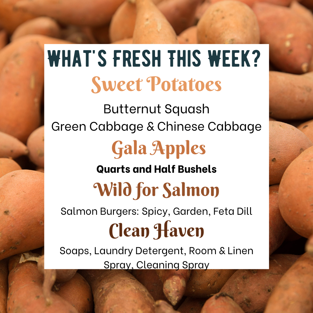 Previous Happening: Your Favorite Fall Crops are HERE: Sweet Potatoes, Cabbage, and Butternut Squash