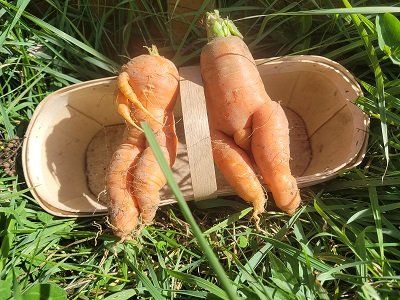 Farm Happenings for the week of October 11, 2022