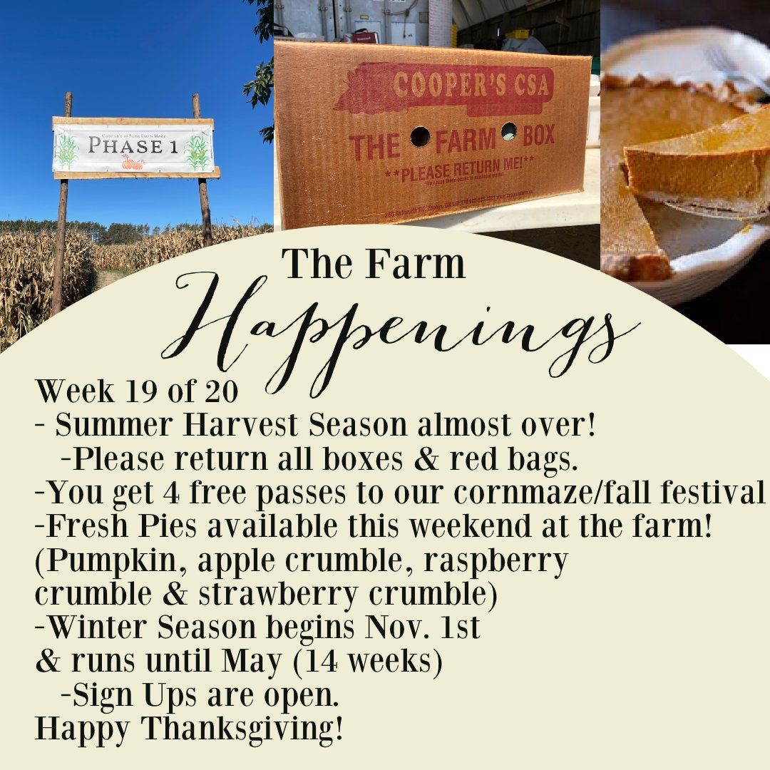 Previous Happening: "The Farm Box"-Coopers CSA Farm Farm Happenings Oct. 11-16th Week 19