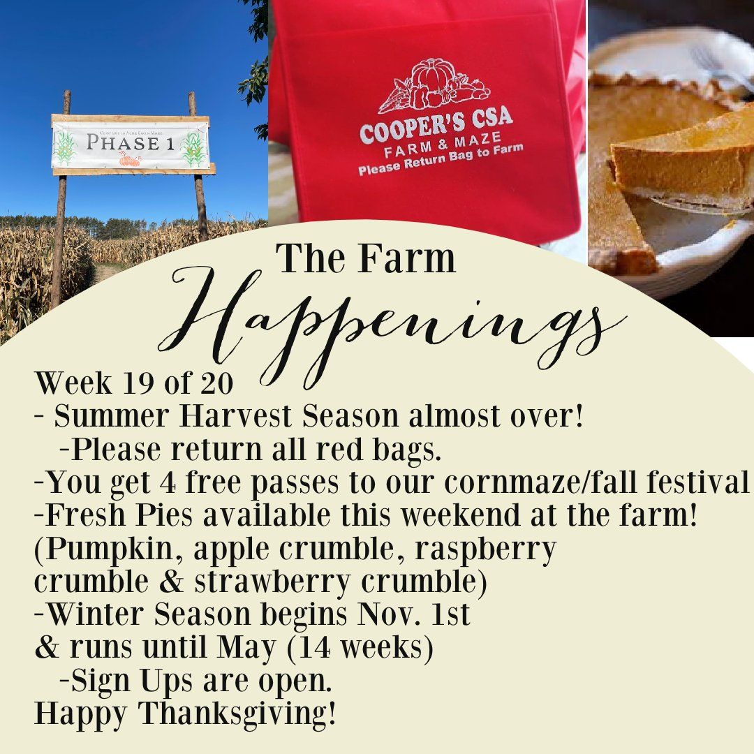 Previous Happening: "Pasture Meat Shares"-Coopers CSA Farm Farm Happenings Oct. 11-16th Week 19