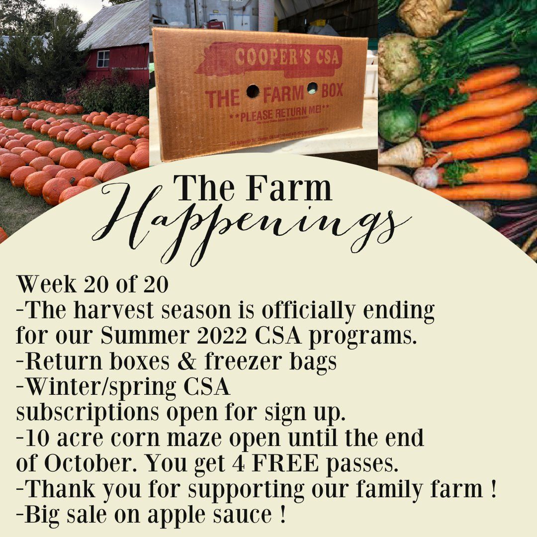 "The Farm Box"-Coopers CSA Farm Farm Happenings Oct.18th-23rd Week 20