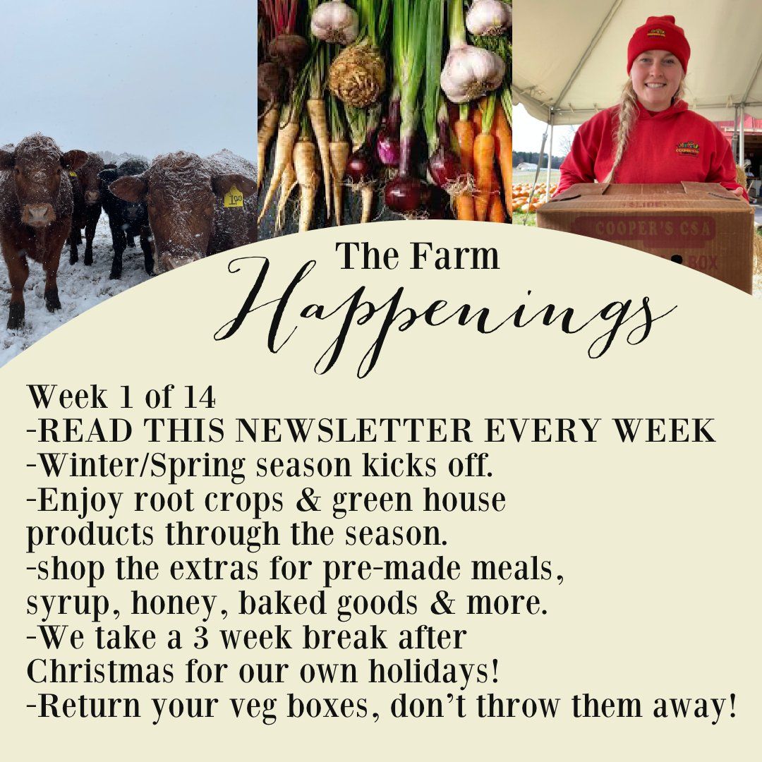 "The Farm Box"-Coopers CSA Farm Farm Happenings Nov. 1st-5th: Week 1
