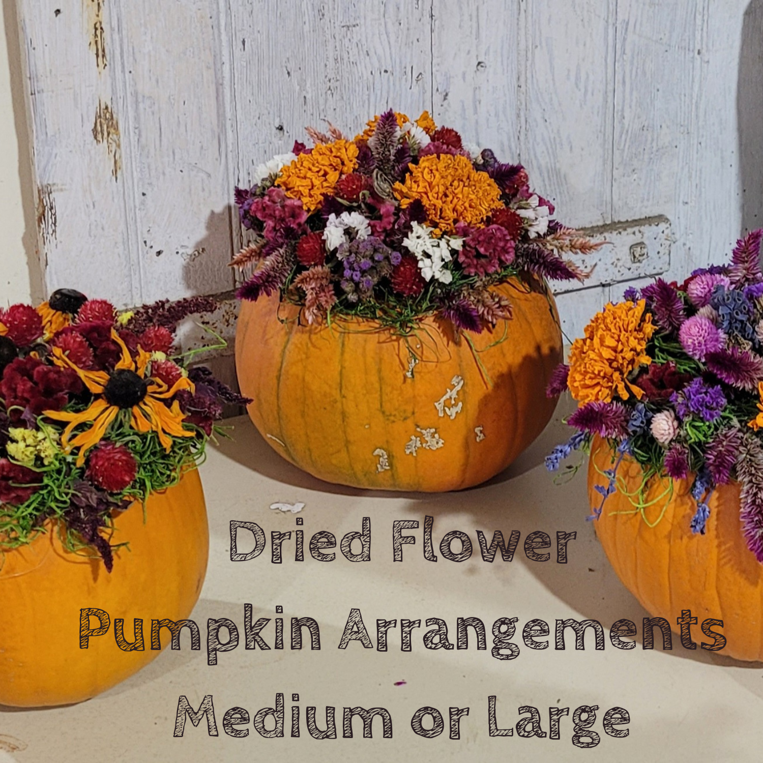 Next Happening: NEW!! Gorgeous Dried Flowers Pumpkin Arrangements + A NEW Breakfast Roll