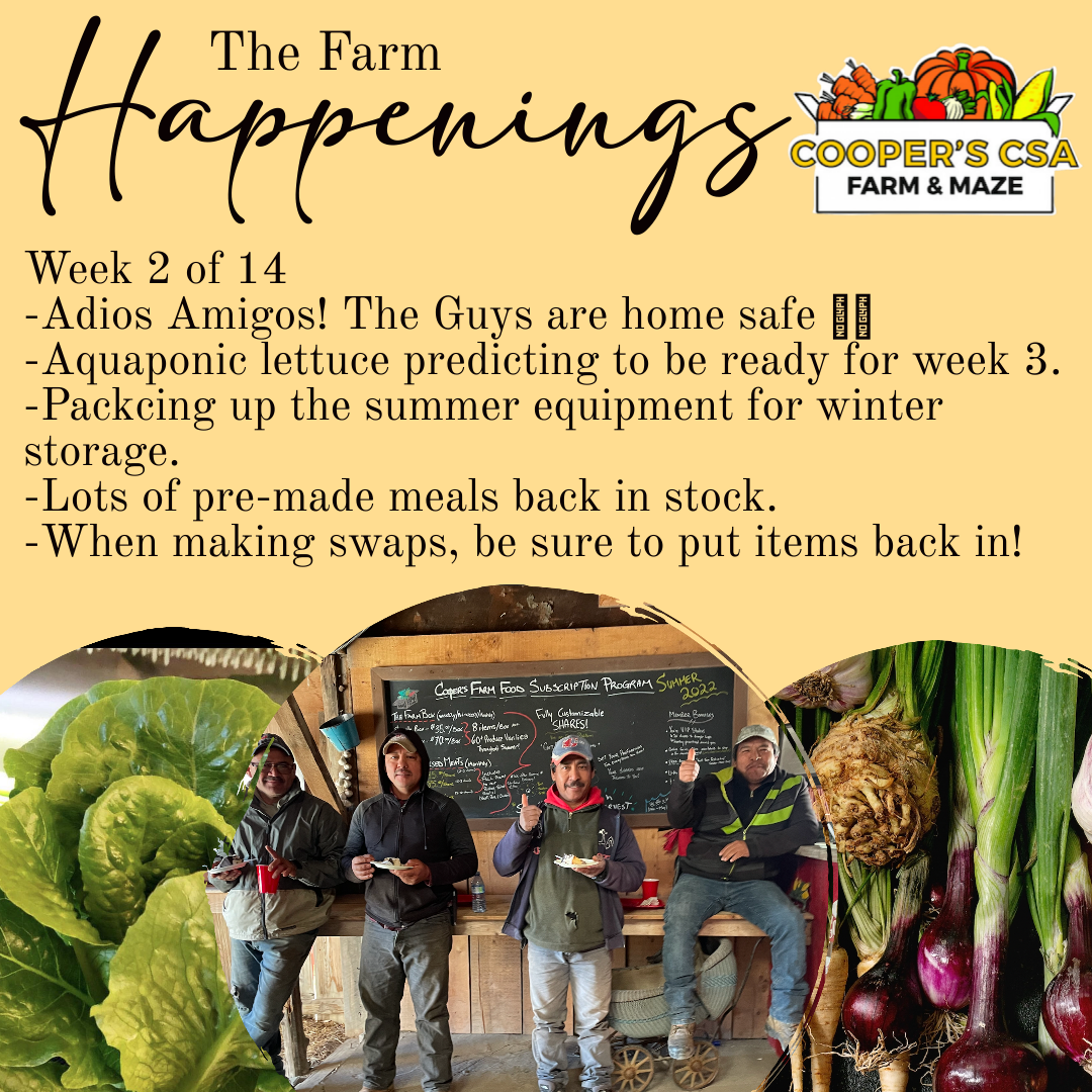 "The Farm Box"-Coopers CSA Farm Farm Happenings November 15-19th; Week 2