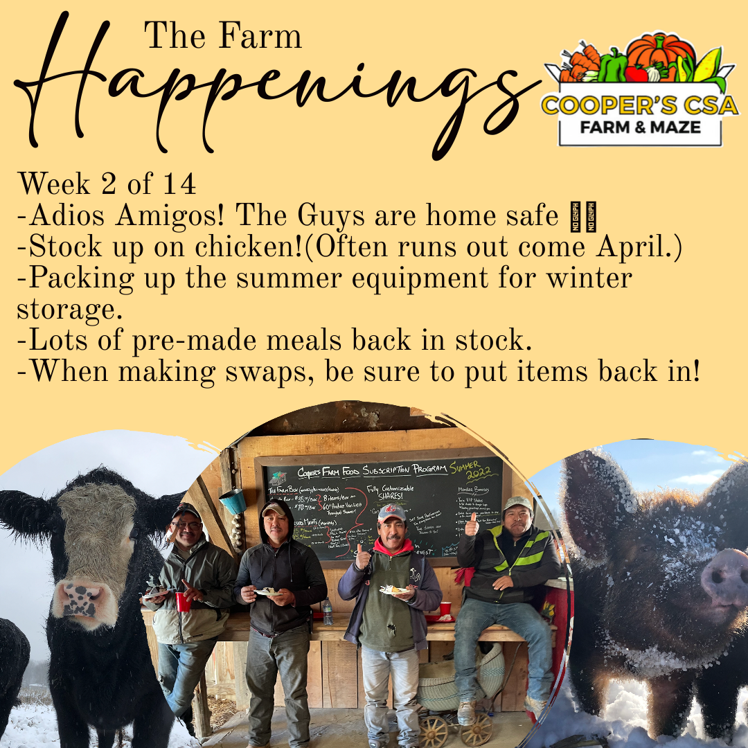 "Pasture Meat Shares"-Coopers CSA Farm Farm Happenings Nov. 14-19th; Week 3