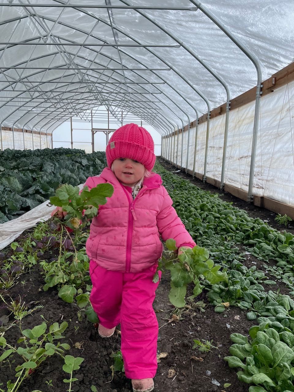 Keeping On In the Winter Tunnel