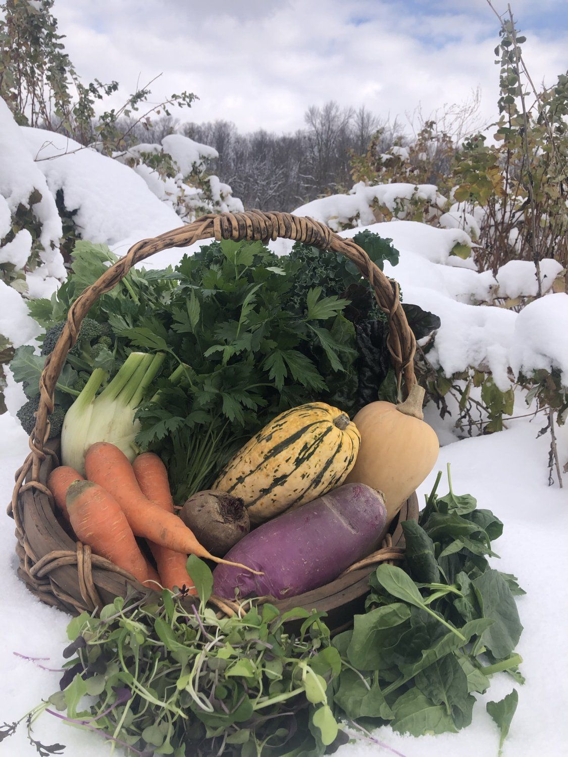 Previous Happening: Farm Happening Nov 24 - Welcome Winter