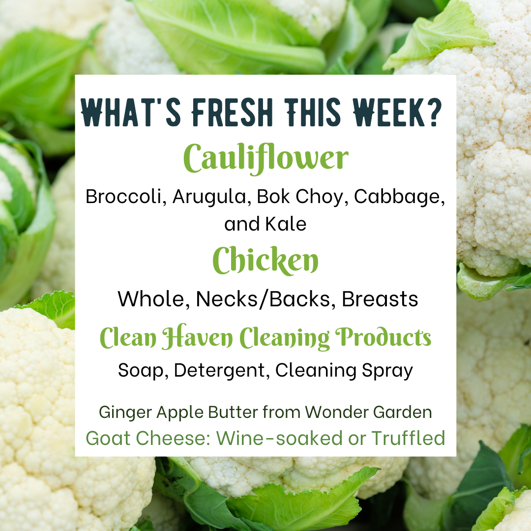Previous Happening: Cauliflower and Clean Haven Cleaning Solutions for your Home