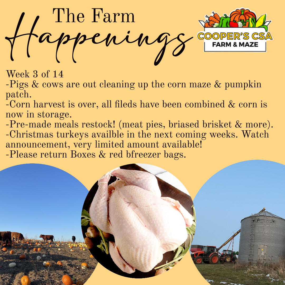 "Pasture Meat Shares"-Coopers CSA Farm Farm Happenings Nov. 29th-Dec. 3rd. Week 3