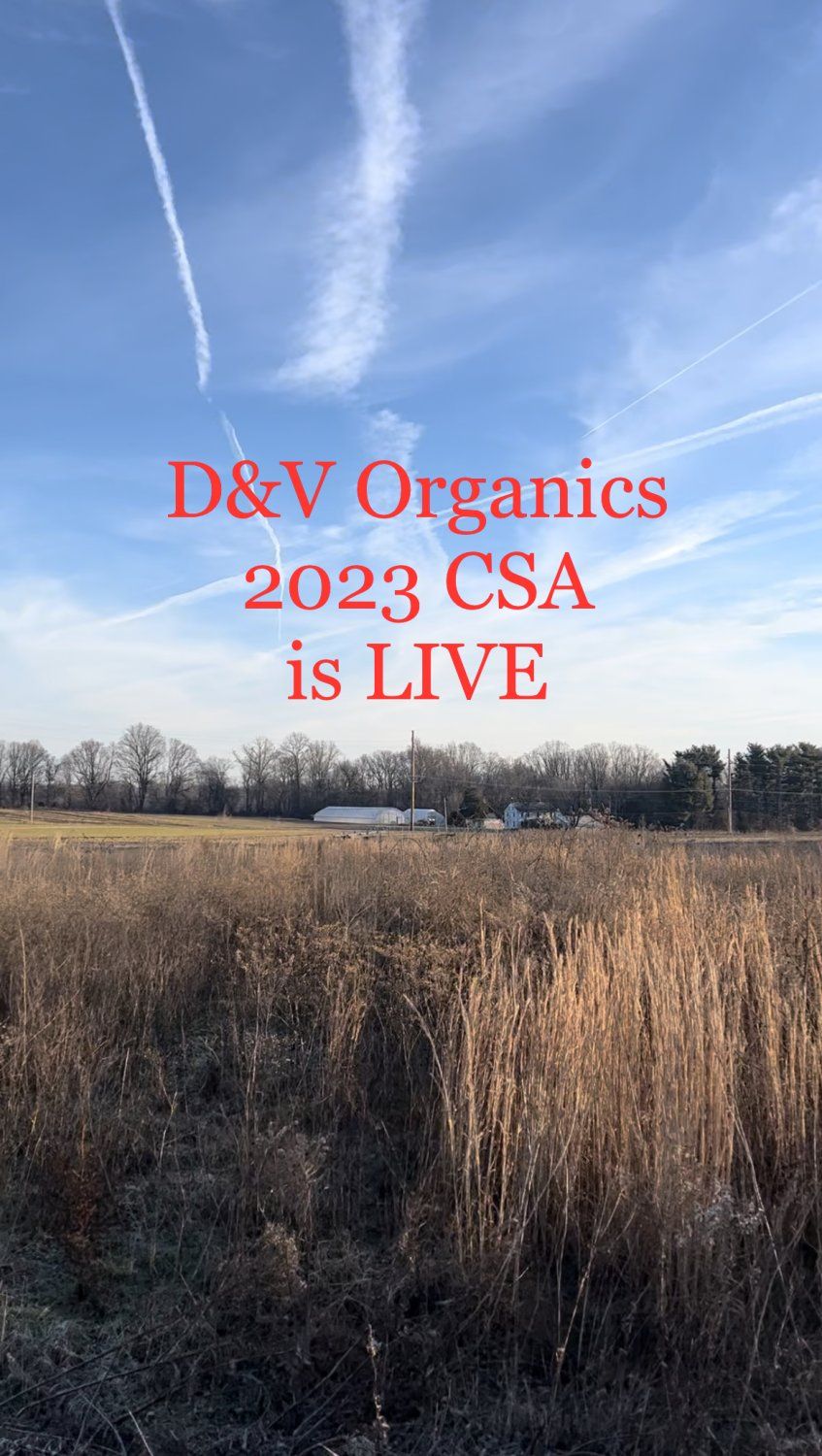 Next Happening: D&V Organics 2023 CSA is Now Open