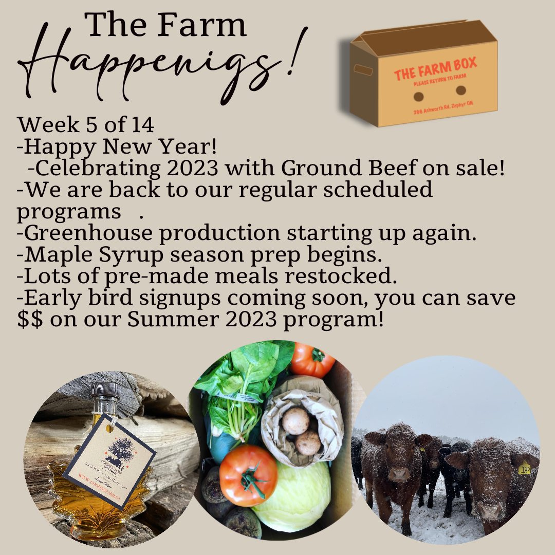 Previous Happening: "The Farm Box"-Coopers CSA Farm Farm Happenings Jan.17th-21st. Week 5