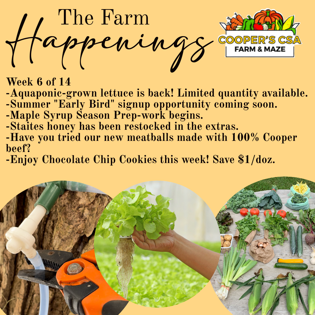 "The Farm Box"-Coopers CSA Farm Farm Happenings Jan.31st-Feb 4th. Week 6