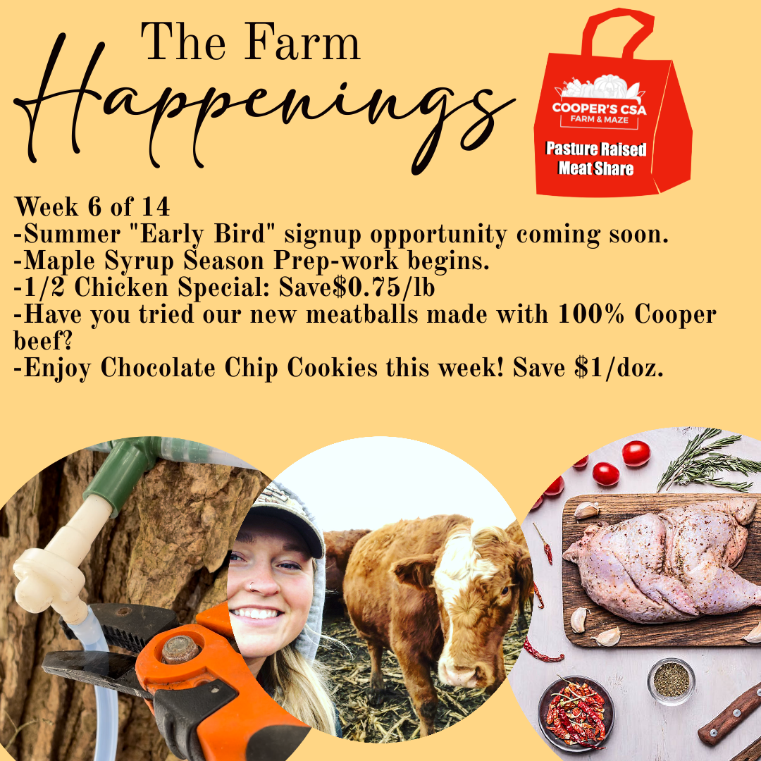 Next Happening: "Pasture Meat Shares"-Coopers CSA Farm Farm Happenings Jan. 31st- Feb 4th. Week 6